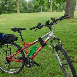 Max Rider