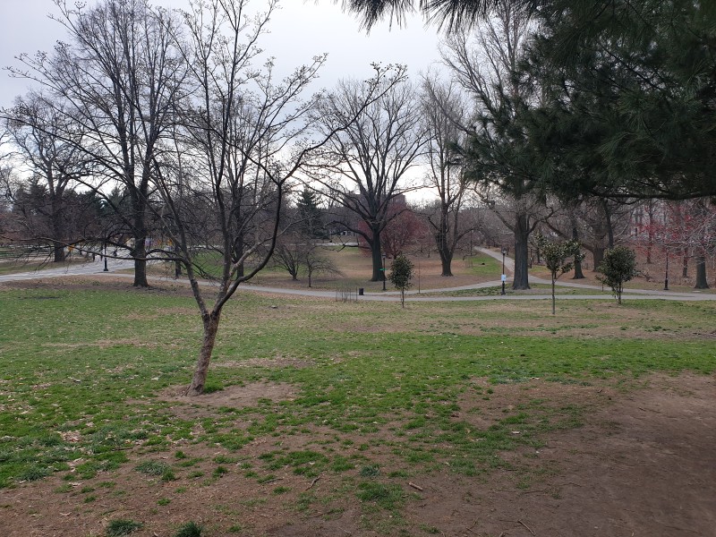 /posts/2022/03/28/prospect-park/img/20220328_164323.jpg