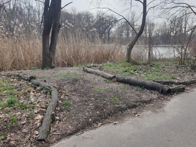 /posts/2022/03/28/prospect-park/img/20220328_170942.jpg