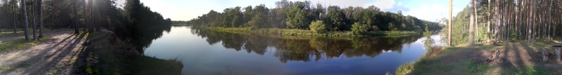 Петушки (фото из архива, 2016 год)