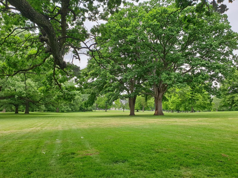 Newark Parks