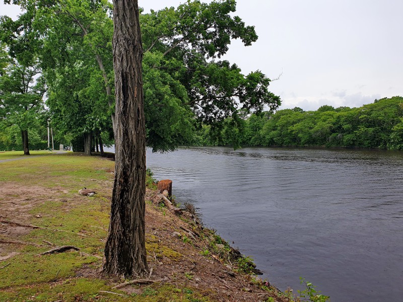 Passaic River (вид с левого берега вниз по течению)