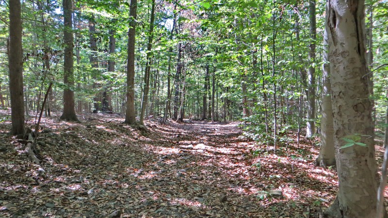 /posts/2022/09/02/south-mountain-reservation/img/20220902_145301%20IMG_2399.JPG