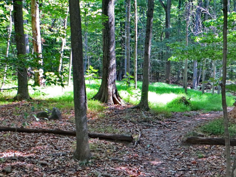 South Mountain Reservation