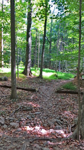 /posts/2022/09/02/south-mountain-reservation/img/20220902_152832%20IMG_2408.JPG