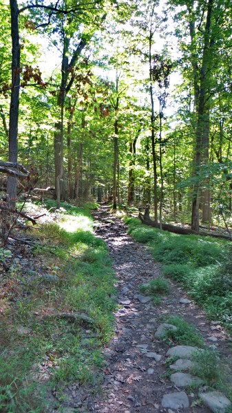 /posts/2022/09/02/south-mountain-reservation/img/20220902_153534%20IMG_2411.JPG