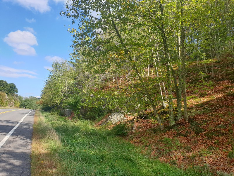 /posts/2022/09/20/harriman-state-park/img/20220920_142444.jpg