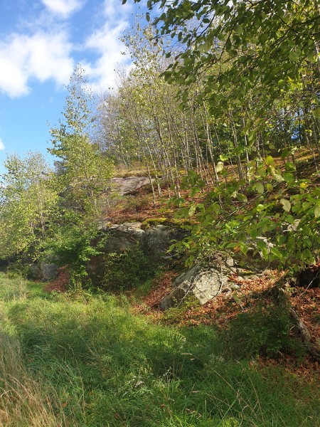 /posts/2022/09/20/harriman-state-park/img/20220920_142514.jpg