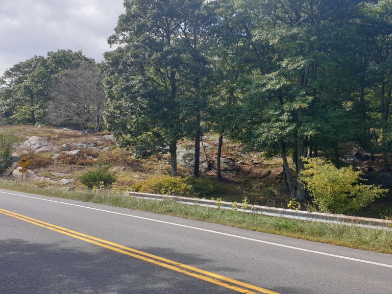 /posts/2022/09/20/harriman-state-park/img/20220920_142824.jpg