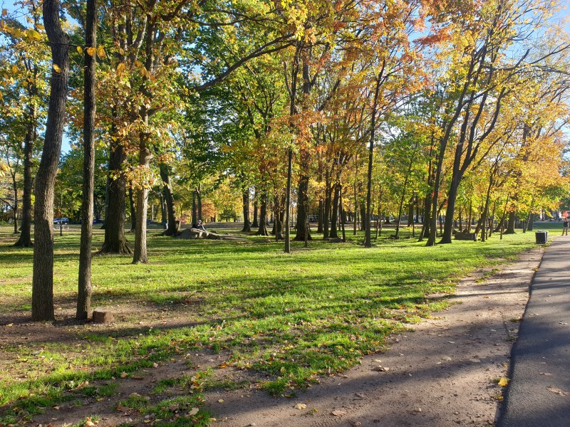 Отдых на камне