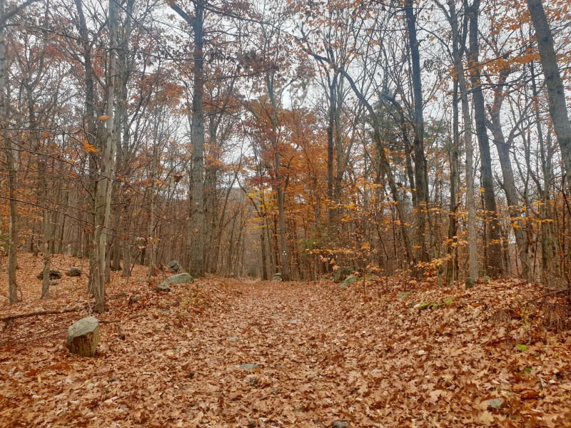 Дорога к горе