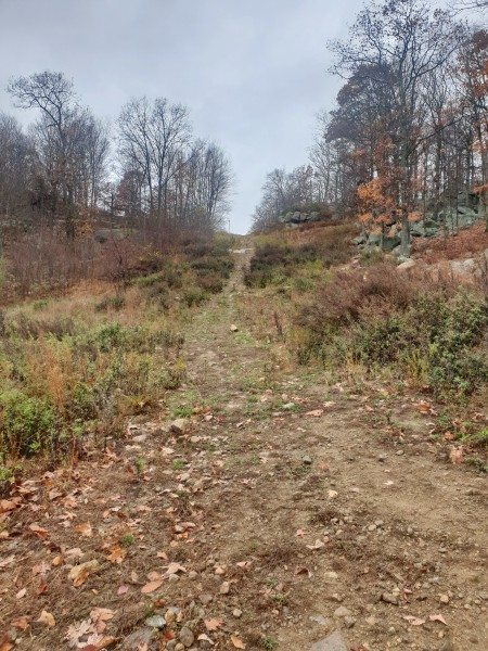 /posts/2022/11/06/harriman-state-park/img/20221106_140837.jpg