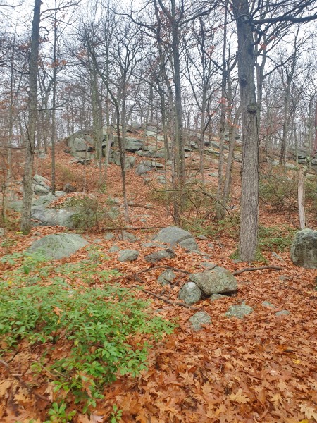 /posts/2022/11/06/harriman-state-park/img/20221106_143603.jpg