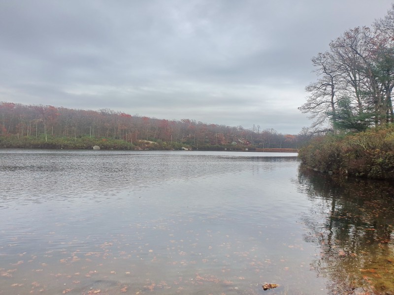 /posts/2022/11/06/harriman-state-park/img/20221106_150647.jpg