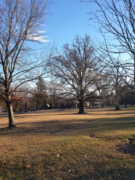 Eastside Park
