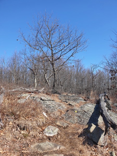 /posts/2023/02/15/norvin-green-state-forest/img/20230215_115151.jpg