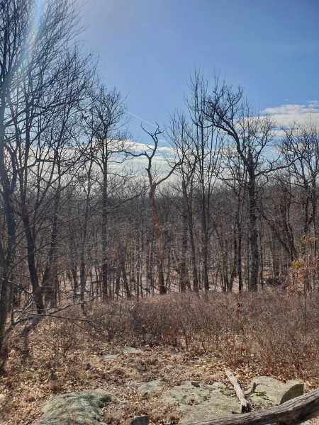 /posts/2023/02/15/norvin-green-state-forest/img/20230215_115255.jpg