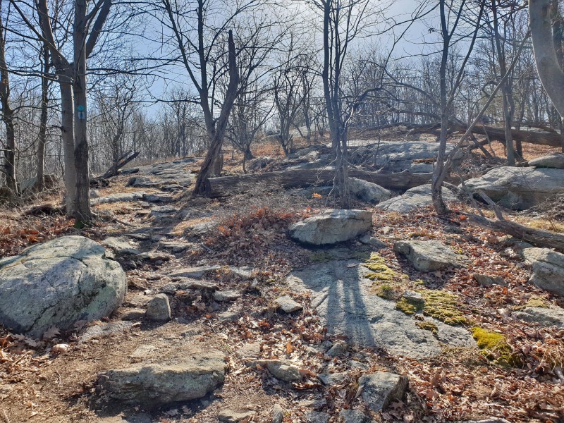/posts/2023/02/15/norvin-green-state-forest/img/20230215_133355.jpg