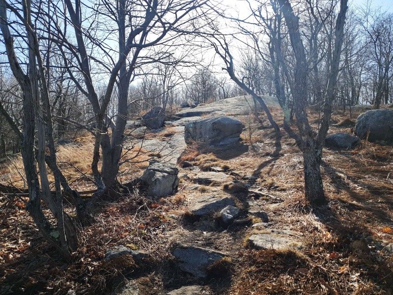 /posts/2023/02/15/norvin-green-state-forest/img/20230215_133431_2.jpg