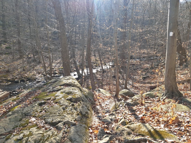 /posts/2023/02/15/norvin-green-state-forest/img/20230215_143442_2.jpg