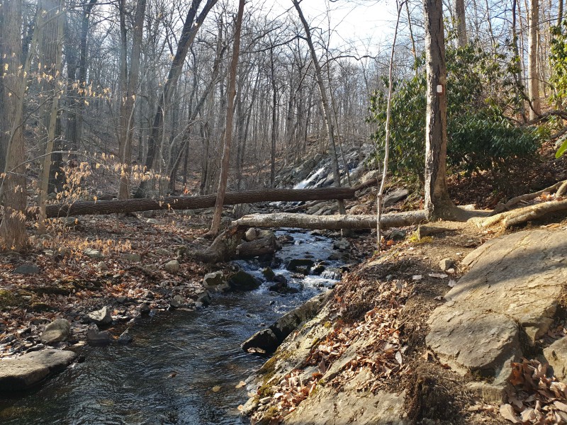 /posts/2023/02/15/norvin-green-state-forest/img/20230215_143548_1.jpg
