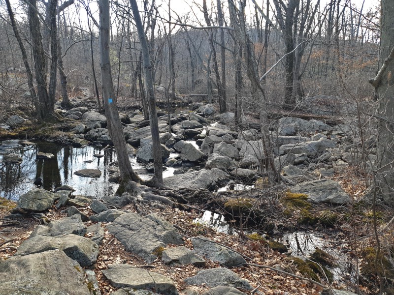 /posts/2023/02/15/norvin-green-state-forest/img/20230215_152524_2.jpg