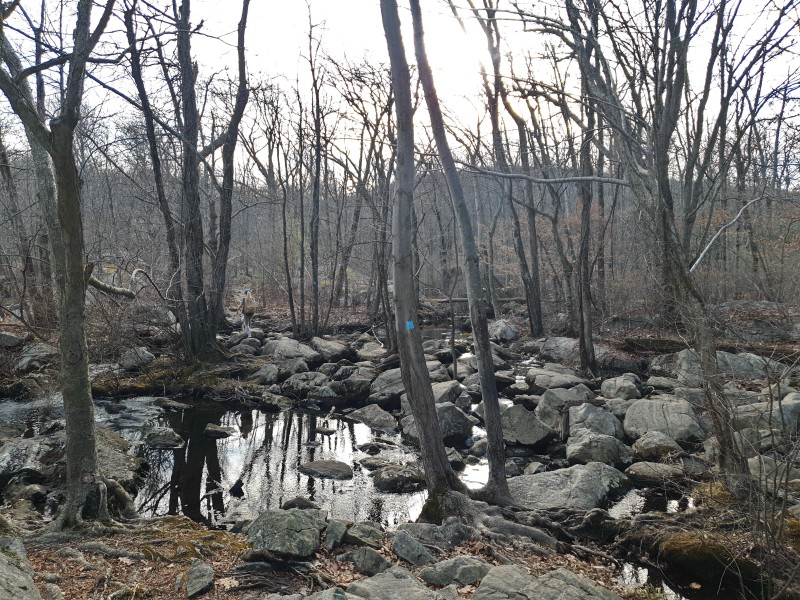 /posts/2023/02/15/norvin-green-state-forest/img/20230215_153122_2.jpg
