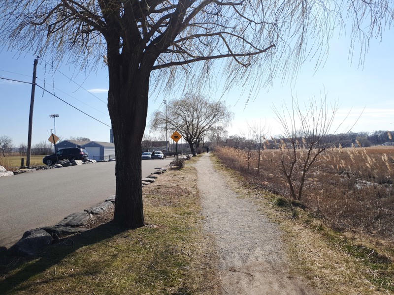 Переход для черепах
