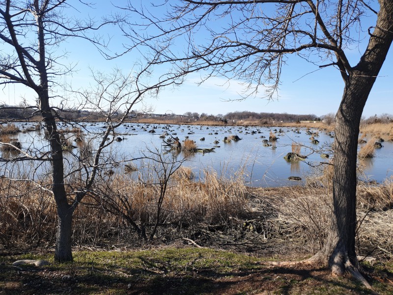 /posts/2023/03/16/secaucus/img/20230316_160218_2.jpg