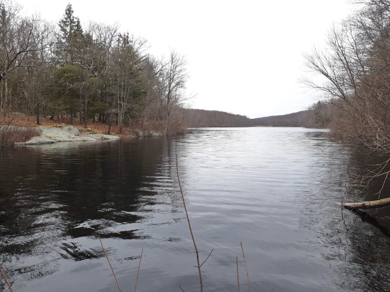 Озеро Bear Swamp Lake