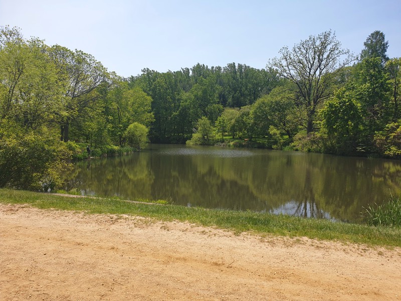Lower Pond (Holmdel, NJ)