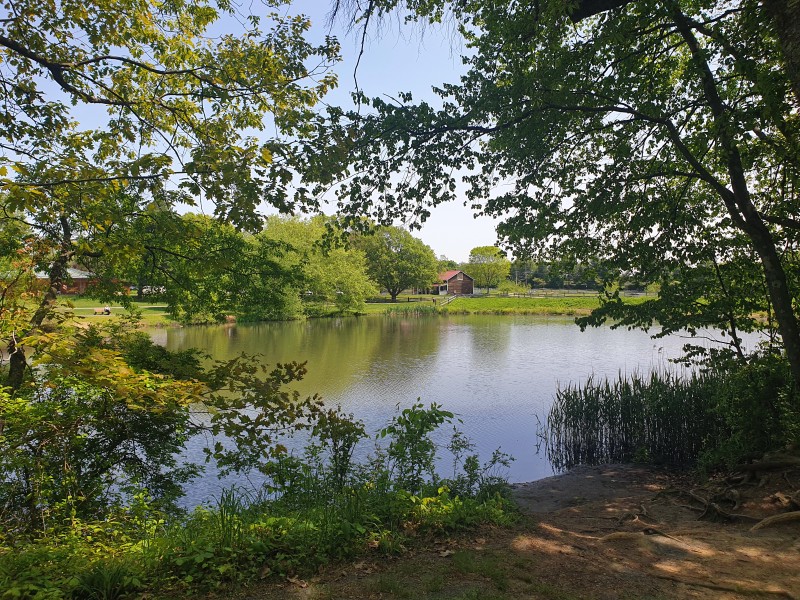 Lower Pond (Holmdel, NJ)