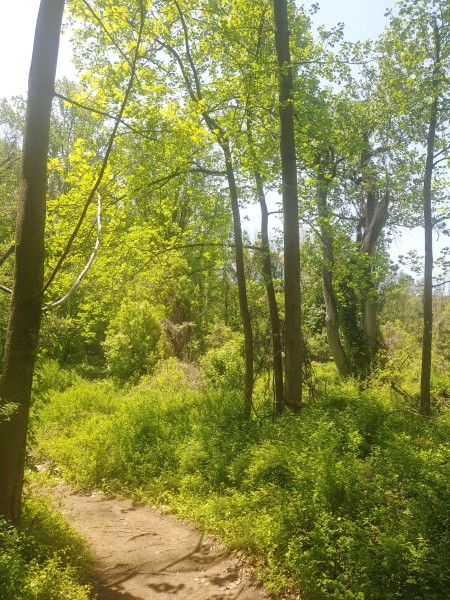 Тропа