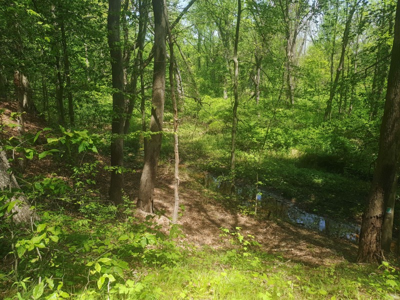 Hop Brook