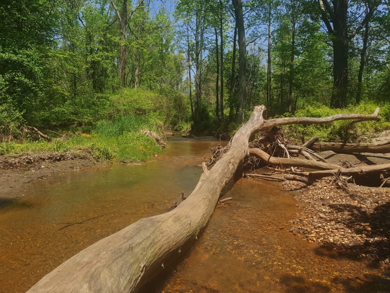 Hop Brook