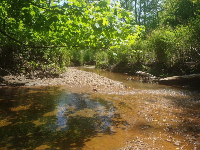Hop Brook