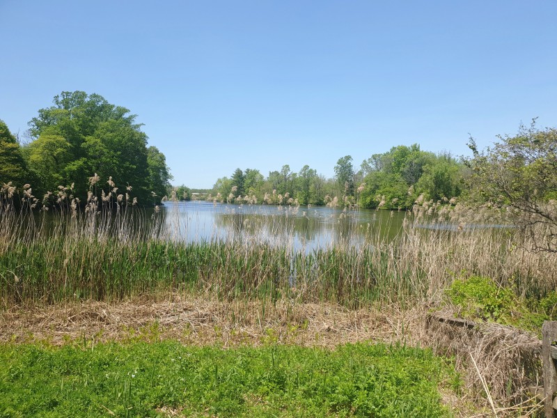 Marlu Lake (Holmdel, NJ)