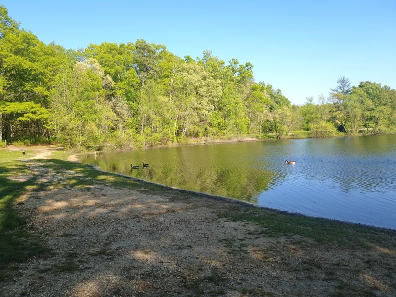 Озеро Turkey Swamp Park