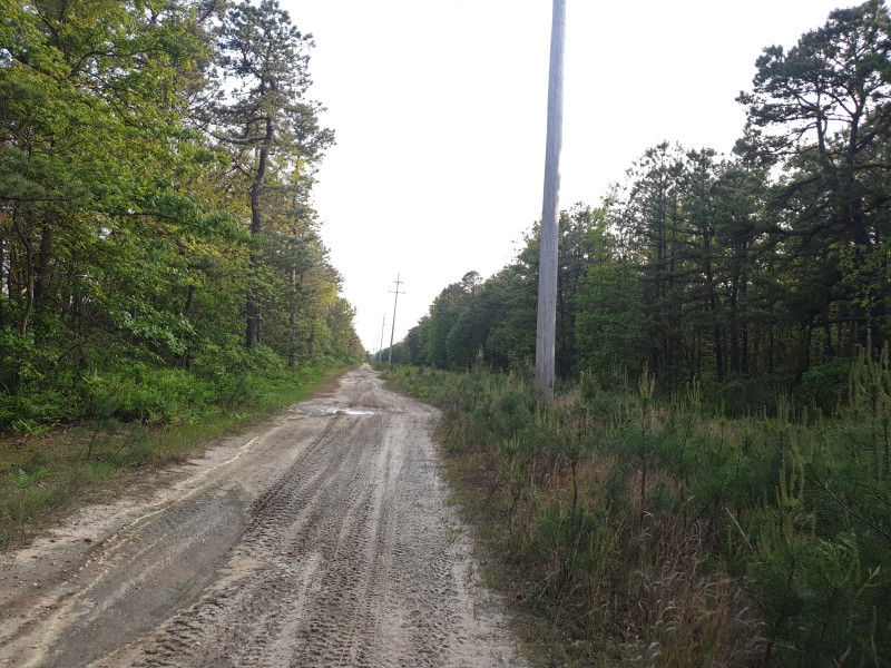 Дорога Old Road