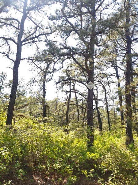 Nature Preserve