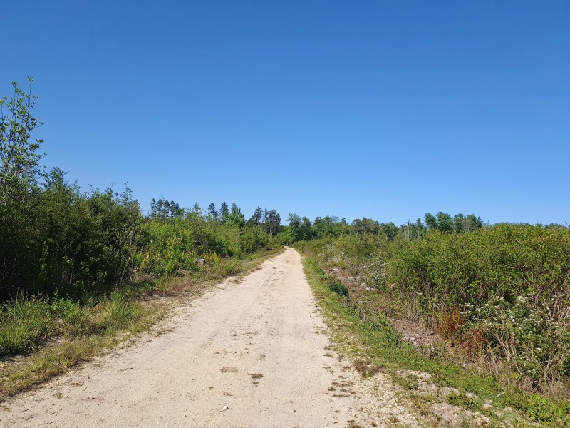 Дорога