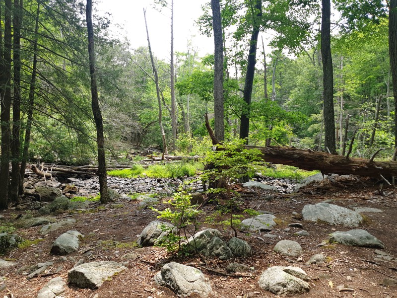 /posts/2023/06/20/camping-in-harriman-state-park-day2/img/20230620_141728_2.jpg