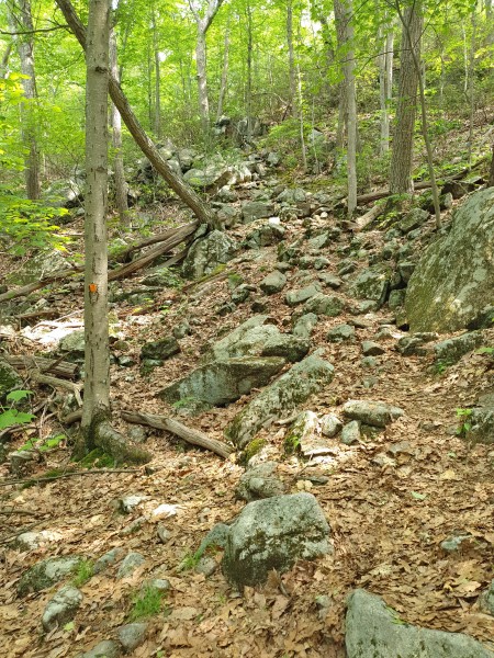 /posts/2023/06/20/camping-in-harriman-state-park-day2/img/20230620_143952_2.jpg