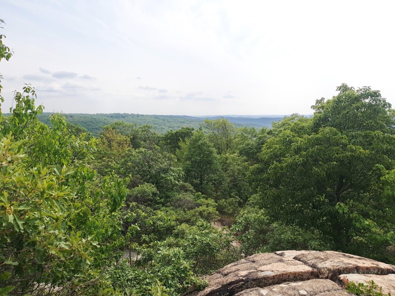 /posts/2023/06/20/camping-in-harriman-state-park-day2/img/20230620_152845_2.jpg
