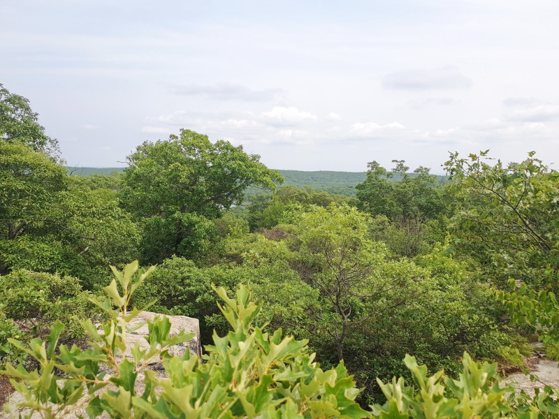 /posts/2023/06/20/camping-in-harriman-state-park-day2/img/20230620_152909_2.jpg