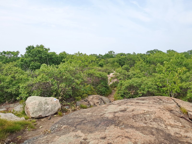 /posts/2023/06/20/camping-in-harriman-state-park-day2/img/20230620_152953_2.jpg