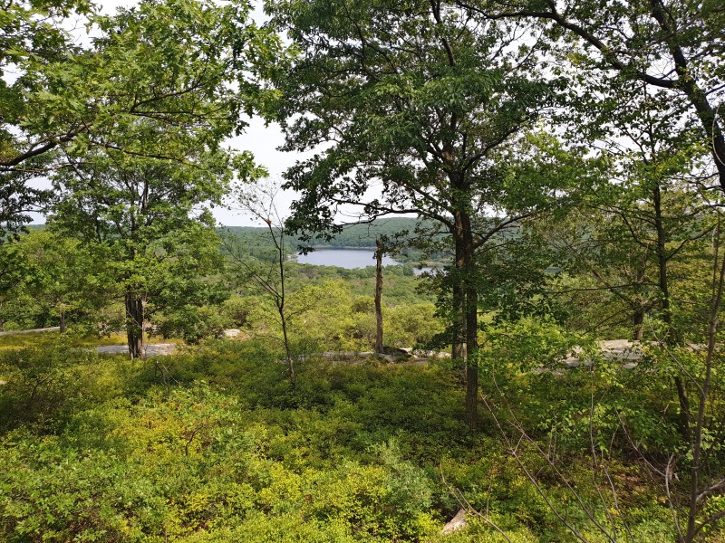 Вид на озеро Pine Meadow Lake