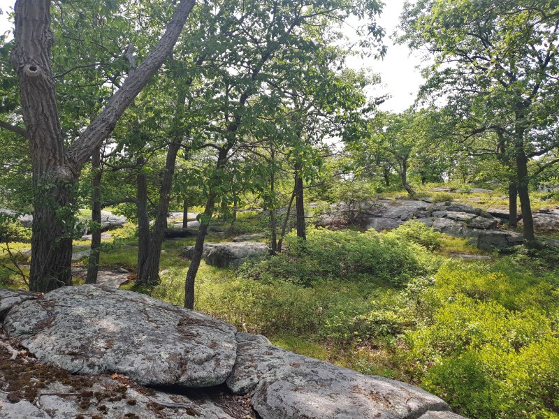 /posts/2023/06/20/camping-in-harriman-state-park-day2/img/20230620_153712_2.jpg