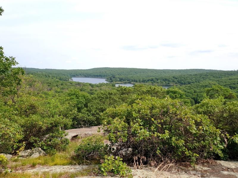 Вид на озеро Pine Meadow Lake