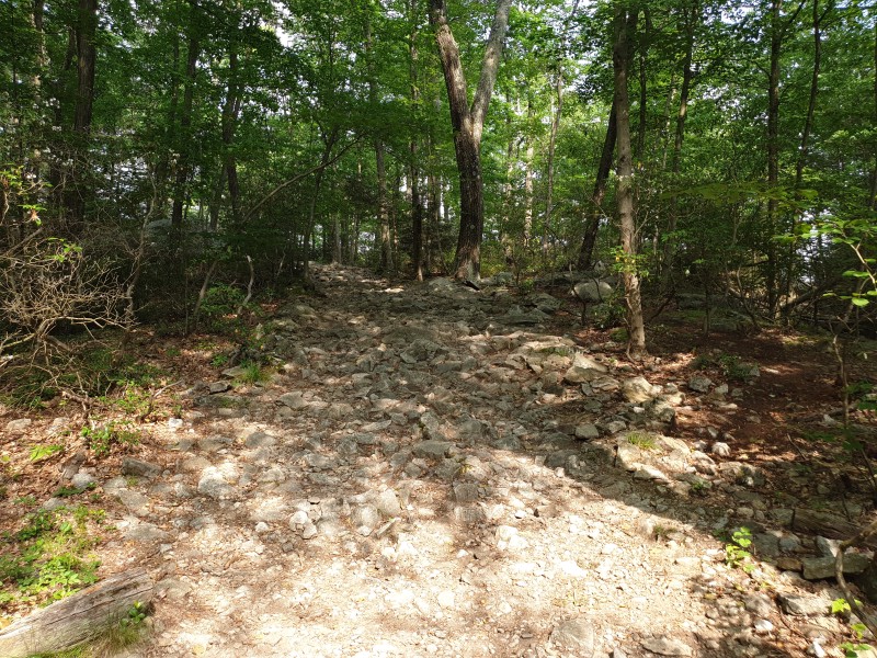 /posts/2023/06/20/camping-in-harriman-state-park-day2/img/20230620_163319_2.jpg